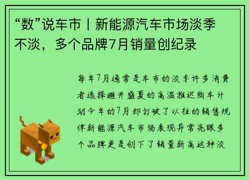 “数”说车市丨新能源汽车市场淡季不淡，多个品牌7月销量创纪录