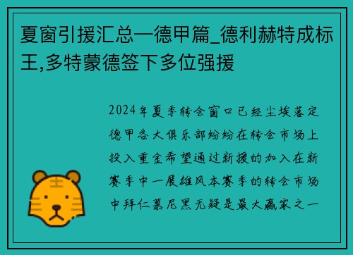 夏窗引援汇总—德甲篇_德利赫特成标王,多特蒙德签下多位强援