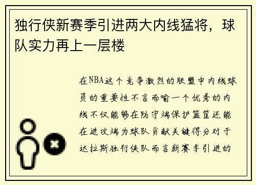 独行侠新赛季引进两大内线猛将，球队实力再上一层楼